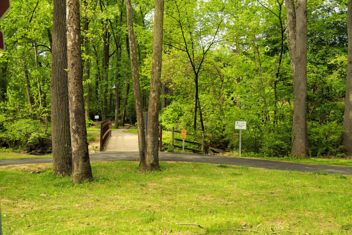 A paved hiking trail through a patch of trees