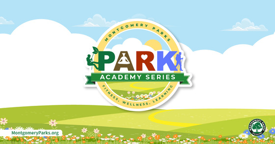 park academy series