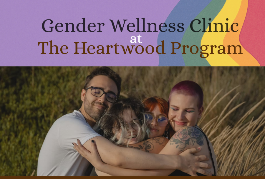 Text “Gender Wellness Clinic at The Heartwood Program” displayed on a rainbow flag with 4 friends hugging.
