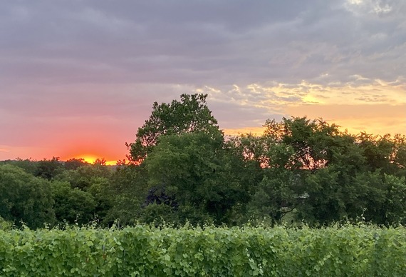 ag reserve at sunset