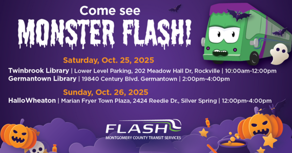 MCDOT Monster Flash 2025