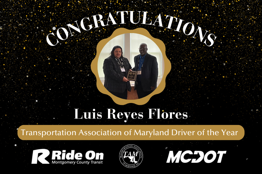 tam driver of the year