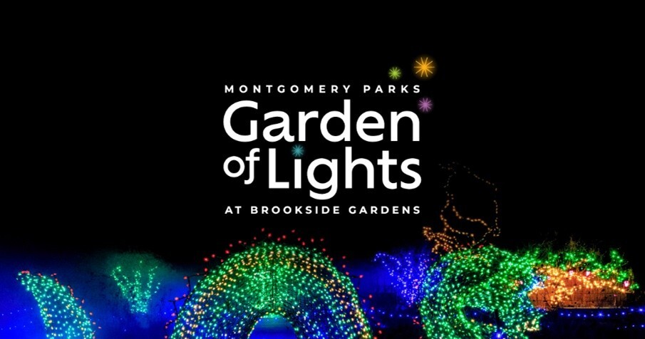 Garden of Lights