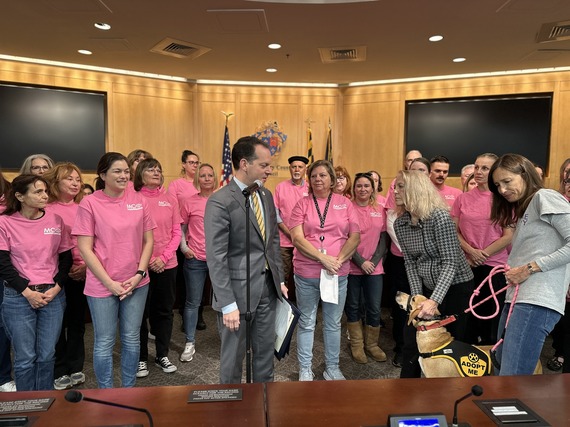 Adopt a shelter dog month