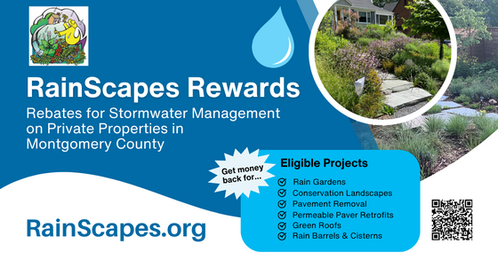 RainScapes rebate program