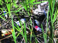Trash in a bioretention project