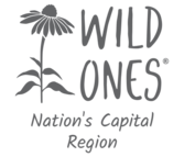 Wild Ones Nation's Capital region logo