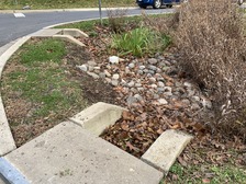 Leaves in the inlet of a rain garden