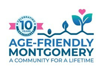 Age Friendly Survey
