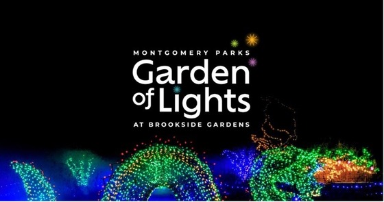 Enjoy the Garden of Lights at Brookside Gardens