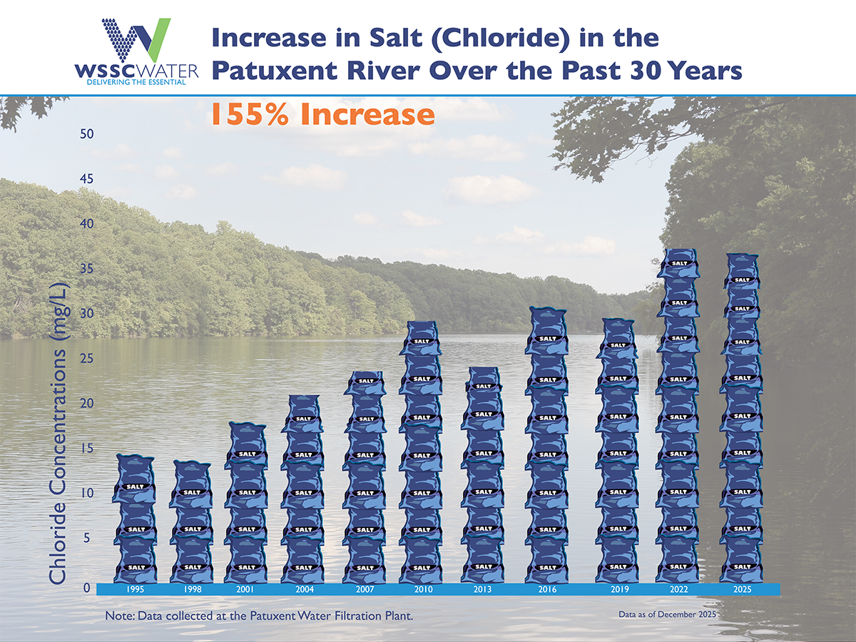 patuxent river salt increase past 30 years