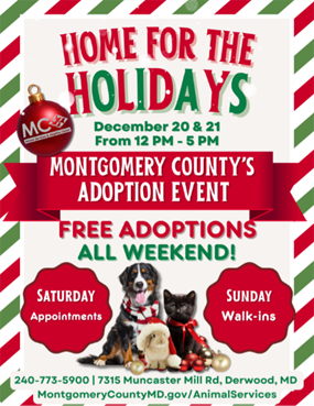 Animal Services to Waive Adoption Fees Dec. 20-21 During ‘Home for the Holidays’ Event 