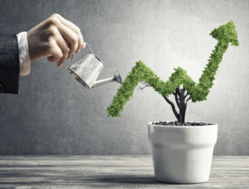 sustainable finance trends