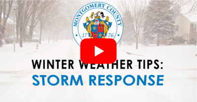 mcdotwinterresponse