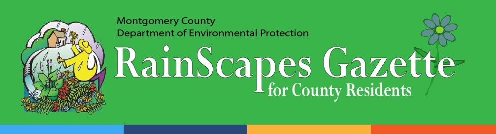 RainScapes Gazette for Montgomery County Residents
