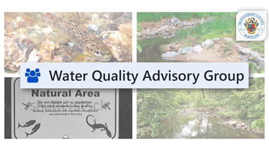 water quality advisory group