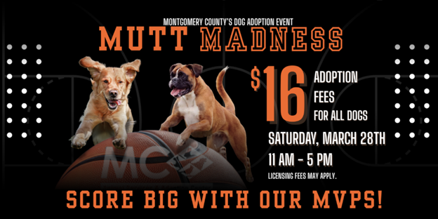 Montgomery County Animal Services and Adoption Center Hosts ‘Mutt Madness’  Adoption Event on Saturday, March 28 with $16 Adoption Fees 