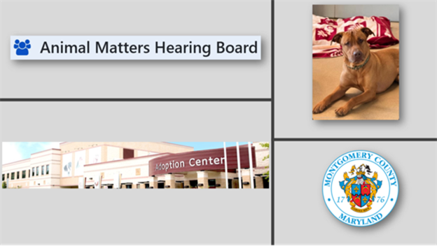 Volunteers Needed to Serve on the Animal Matters Hearing Board 