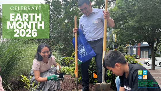 A group people planting with gloves that say "rainscapes." The words "Celebrate Earth Month" and the DEP logo is shown.