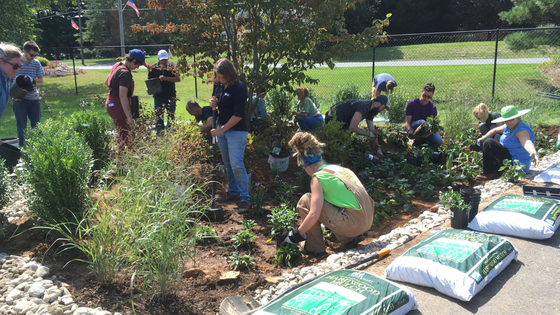Group of people in various stages of planting surrounding a plot of native plants in the middle of a field on a sunny day.