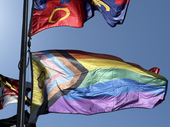 pride flag