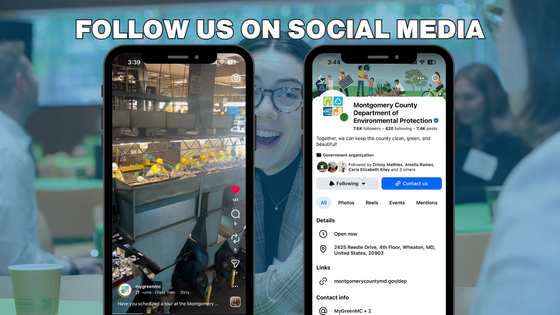 Follow us on social media