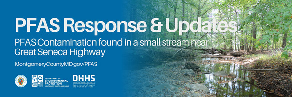 PFAS Response & Updates: PFAS Contamination found in a small stream near Great Seneca Highway on background of stream in woods.