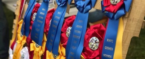 2026 Hunter Classic Horse Show Set for Saturday, June 27 in Olney 