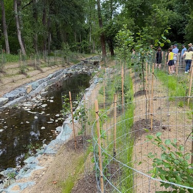 Walking along the Old Farm Creek stream