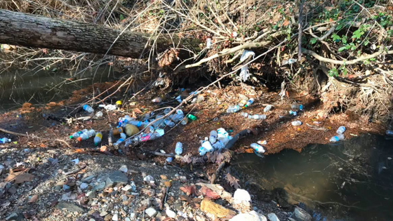 Trash near a stream