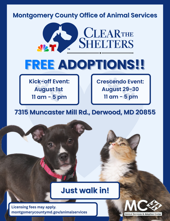 Free Pet Adoptions