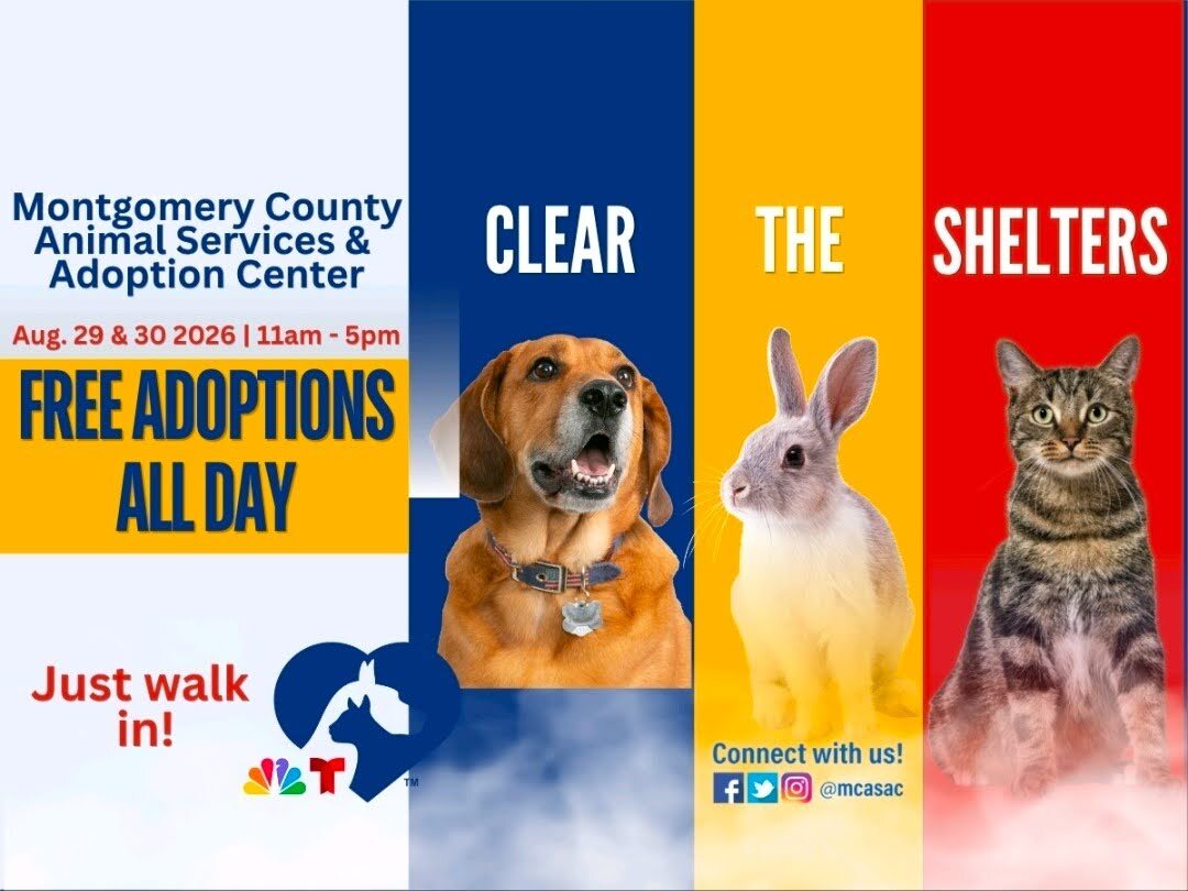 Montgomery County Animal Services & Adoption Center Clear the Shelters flier: Free adoptions all day August 29 & 30 from 11am - 5pm