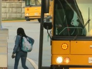 mcmarticleschoolbus