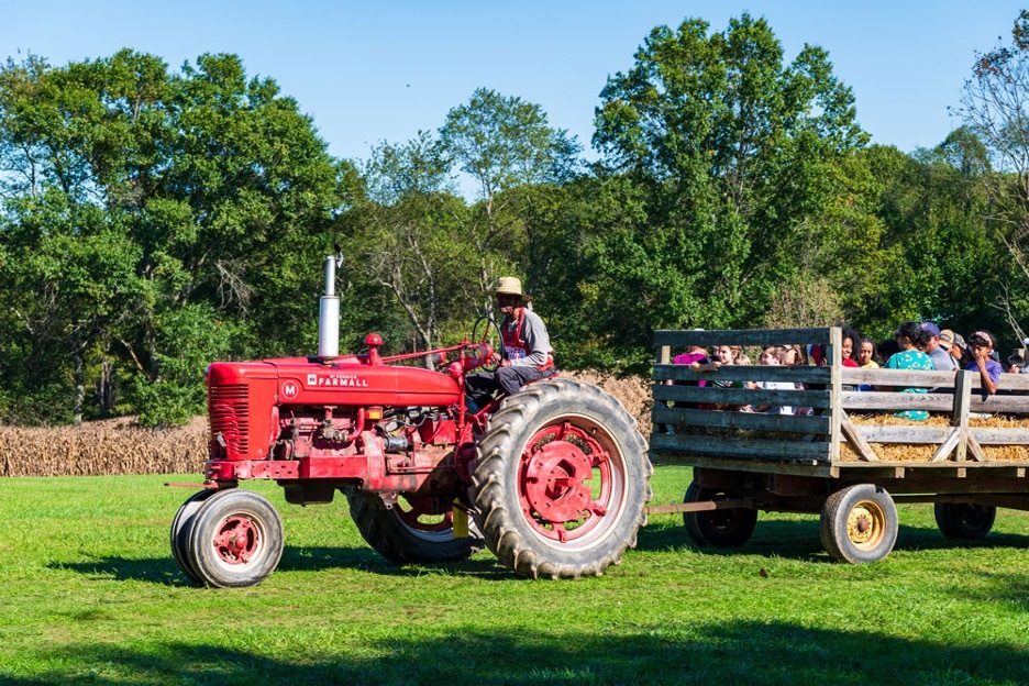 Celebrate Fall at Montgomery Parks' Harvest Festival 