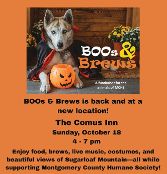 Boos and Brews: Celebrate Halloween and Furry Friends