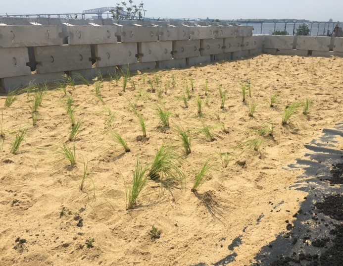 Above Ground Sand Filter at Dundalk Marine Terminal