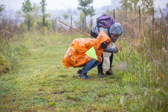 Volunteers at the Bio Blitz