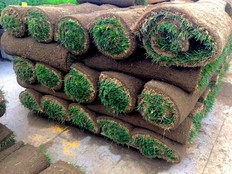 A pile of rolled up sod