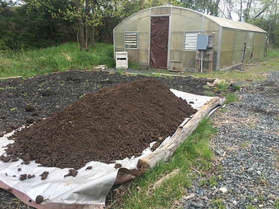 Greenhouse at Masonville Cove