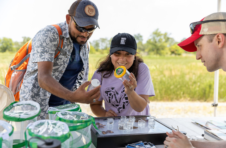 Participates look at collected species from event