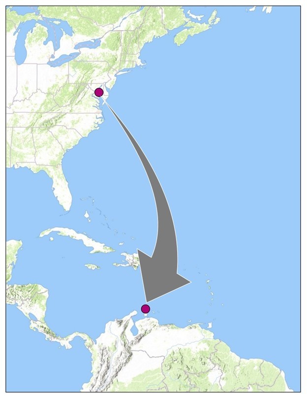 Map of Tern travel from Maryland to Aruba