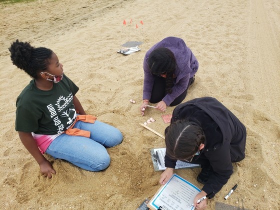 Simulated terrapin nest discovery - small group