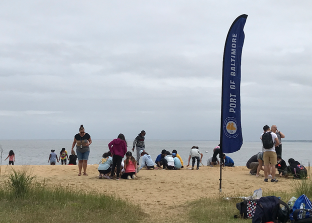 Simulated terrapin nest discovery large group