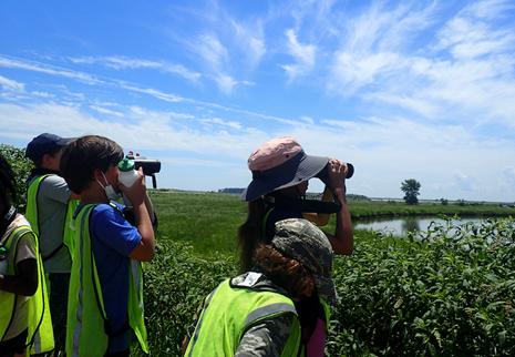 Youth Bird Watching