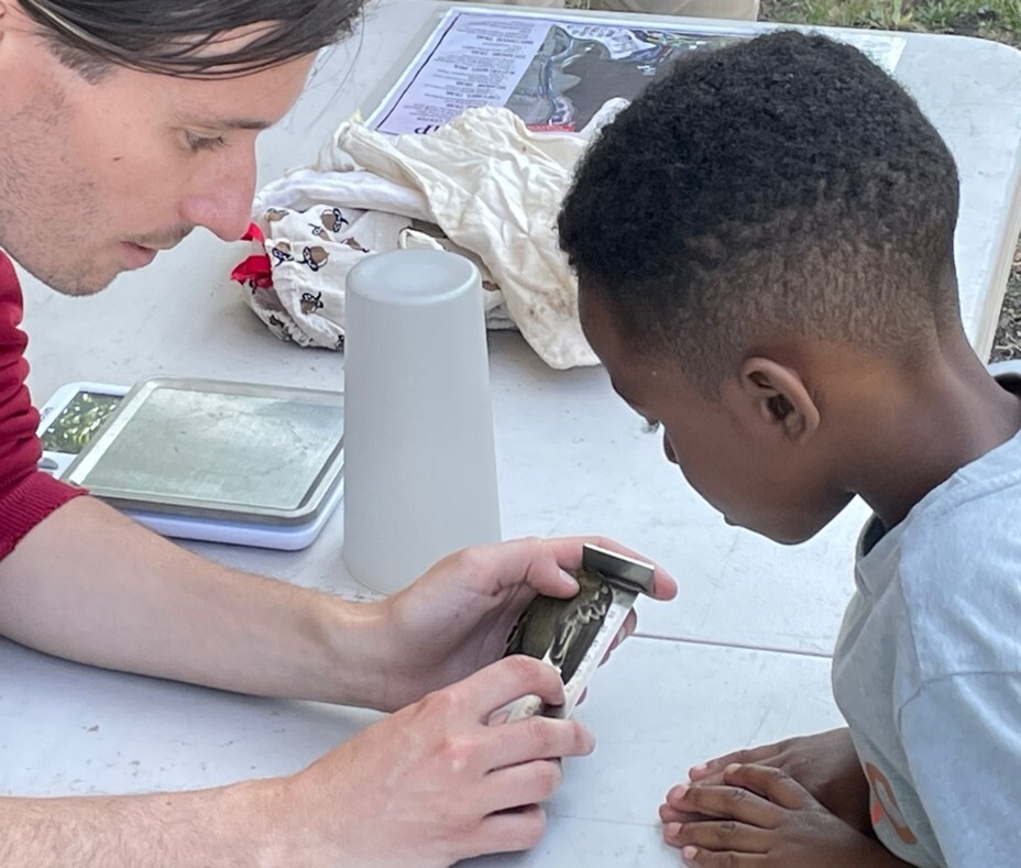 Bird Banding