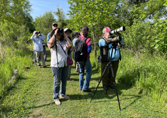 Birding tour viewing birds
