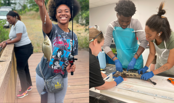 WildSTEM interns learn about fish