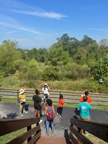 Masonville Cove Visitors