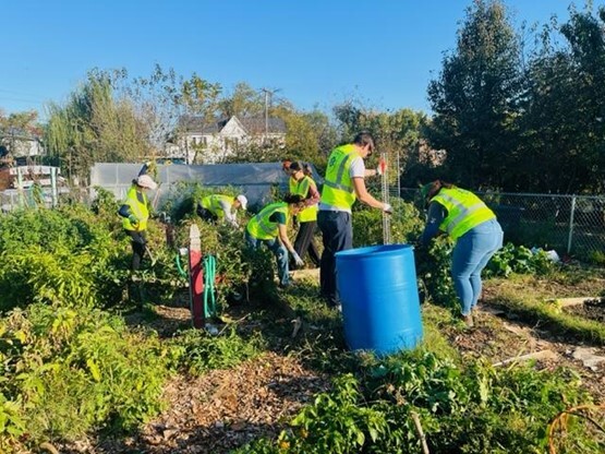 Filburt Street Garden Cleaning