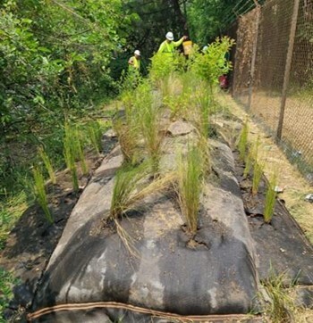 Geotextile Berm - After Picture